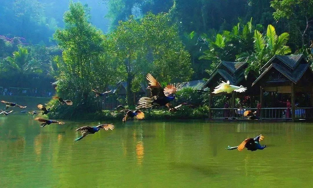 饥饿的松鼠救援